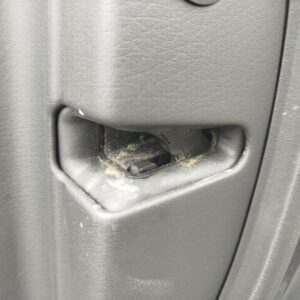CERRADURA PUERTA DELANTERA DERECHA AUDI A6 BERLINA