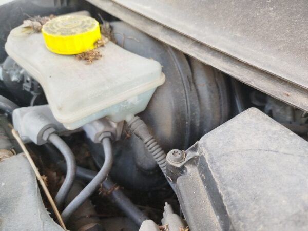 SERVOFRENO AUDI A6 BERLINA