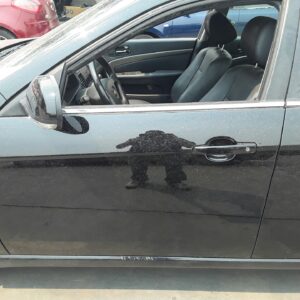 PUERTA DELANTERA IZQUIERDA CHEVROLET EPICA