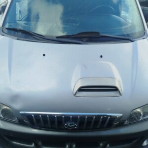 CAPO HYUNDAI H-1 ()