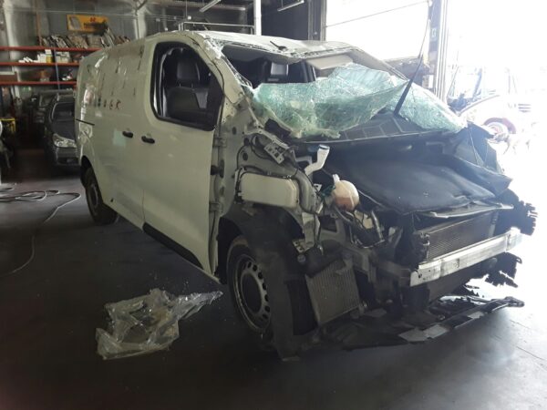 PORTON TRASERO PEUGEOT EXPERT FURGÓN - Imagen 2