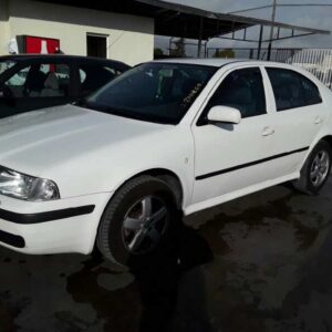 RADIADOR AGUA SKODA OCTAVIA BERLINA