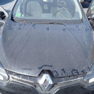CAPOT RENAULT MEGANE III COUPE