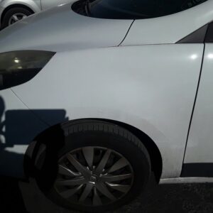 ALETA DELANTERA IZQUIERDA RENAULT SCENIC III (JZ)