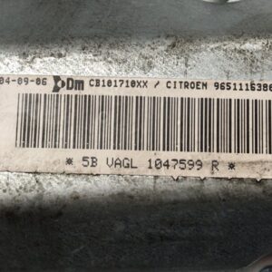 AIRBAG DELANTERO DERECHO CITROEN C5 BERLINA