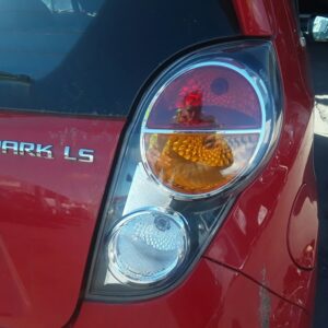 PILOTO TRASERO DERECHO CHEVROLET SPARK
