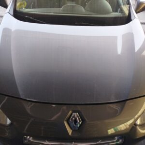 CAPO RENAULT FLUENCE