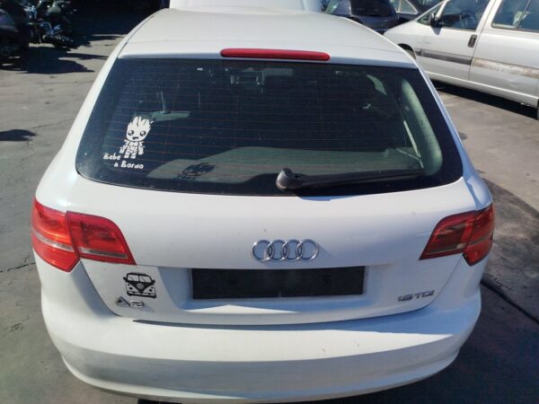 PORTON TRASERO AUDI A3 (8P1)