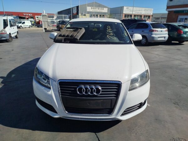 PILOTO TRASERO IZQUIERDO AUDI A3 (8P1) - Imagen 2