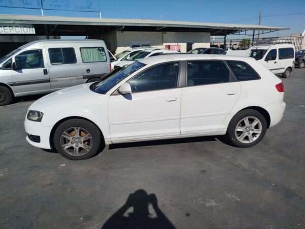 PORTON TRASERO AUDI A3 (8P1) - Imagen 4