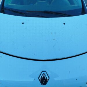 CAPO RENAULT CLIO III
