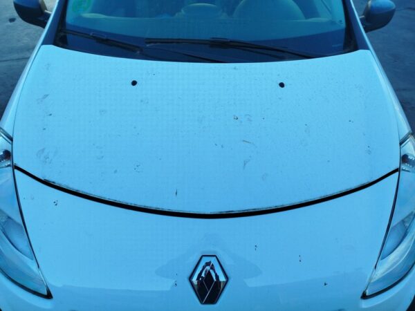 CAPO RENAULT CLIO III