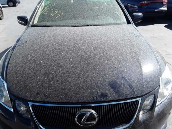CAPO LEXUS GS (GS/US/WS19)