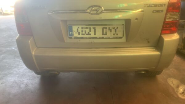 PORTON TRASERO HYUNDAI TUCSON (JM)