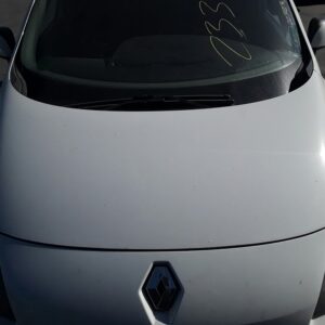 CAPO RENAULT SCENIC III (JZ)