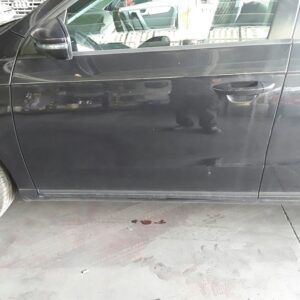 PUERTA DELANTERA IZQUIERDA VOLKSWAGEN PASSAT BERLINA (3C2)