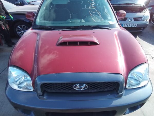 CAPO HYUNDAI SANTA FE (SM)