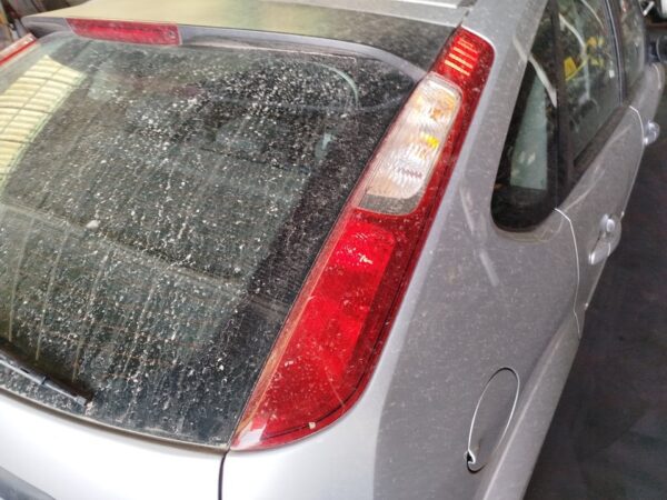 PILOTO TRASERO DERECHO FORD FOCUS BERLINA (CAP)