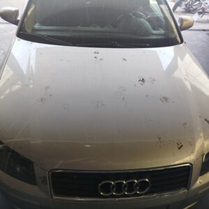 CAPO AUDI A3 (8P1)