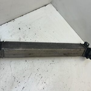 INTERCOOLER RENAULT SCENIC III (JZ)