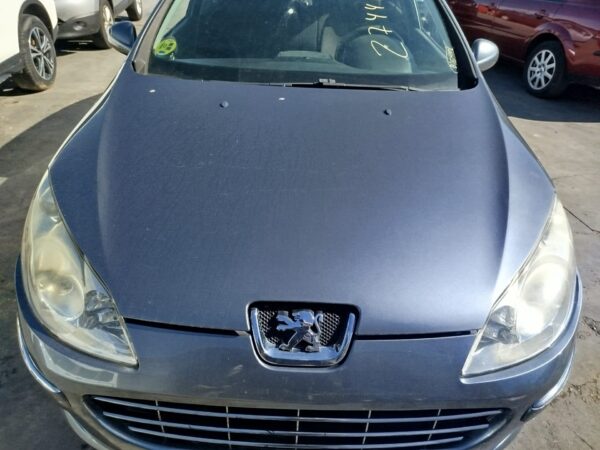 CAPO PEUGEOT 407