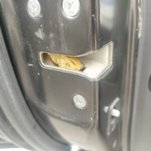 CERRADURA PUERTA TRASERA IZQUIERDA HONDA CR-V (RE)