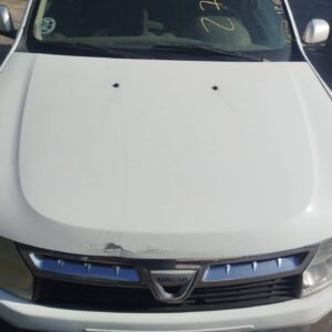 CAPO DACIA DUSTER I