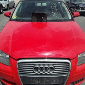 CAPO AUDI A3 (8P1)