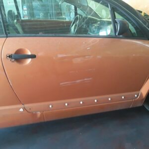 PUERTA DELANTERA DERECHA CITROEN C3 PLURIEL