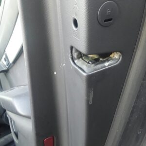 CERRADURA PUERTA TRASERA DERECHA AUDI A6 BERLINA (4F2)