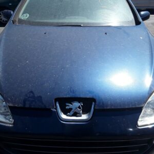 CAPO PEUGEOT 407