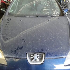 CAPO PEUGEOT 407