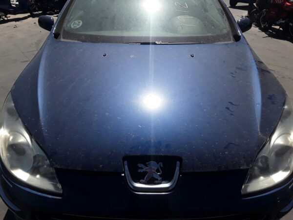 CAPO PEUGEOT 407