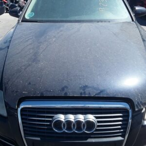 CAPO AUDI A6 BERLINA (4F2)