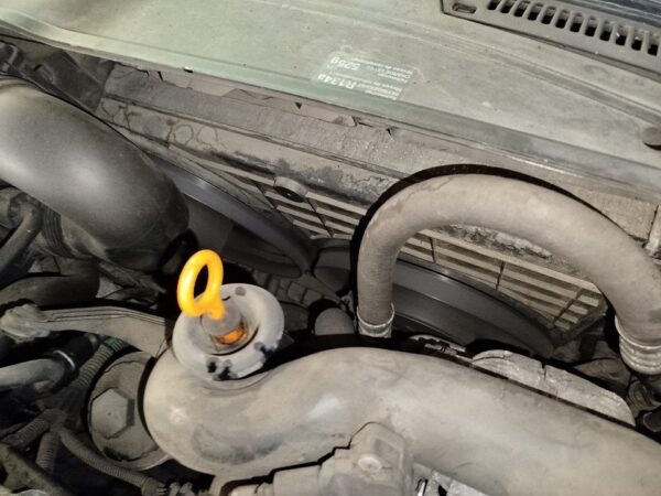RADIADOR AGUA VOLKSWAGEN GOLF V (1K1)(10.2003)