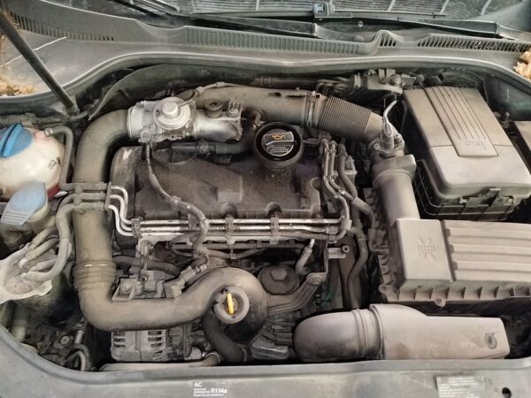 TRANSMISION DELANTERA DERECHA VOLKSWAGEN GOLF V (1K1)(10.2003)