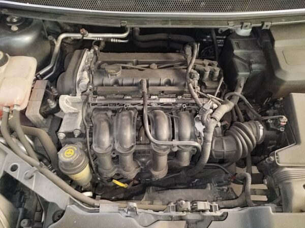 SERVOFRENO FORD FOCUS BERLINA (CAP)