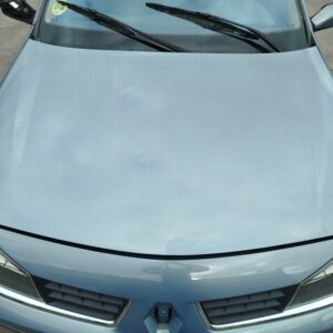 CAPO RENAULT LAGUNA II (BG0)