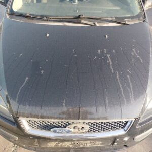 CAPO FORD FOCUS BERLINA (CAP)