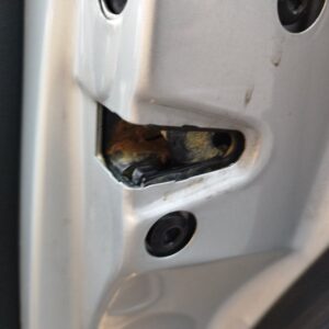 CERRADURA PUERTA TRASERA DERECHA SEAT TOLEDO (1M2)