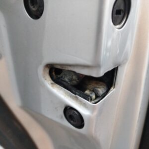 CERRADURA PUERTA TRASERA IZQUIERDA SEAT TOLEDO (1M2)