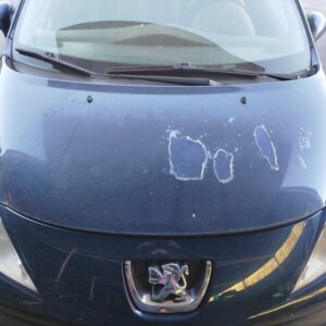 CAPO PEUGEOT 207