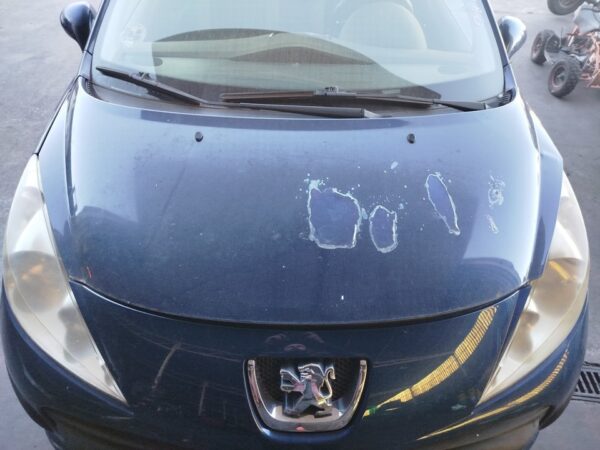 CAPO PEUGEOT 207