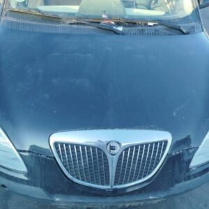 CAPO LANCIA YPSILON (101)