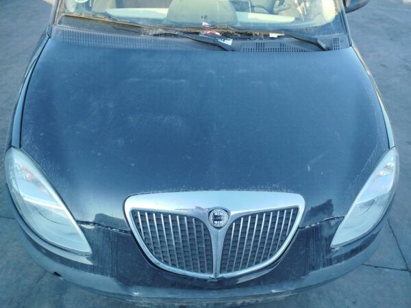 CAPO LANCIA YPSILON (101)