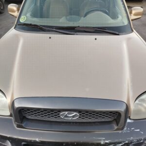 CAPO HYUNDAI SANTA FE (SM)
