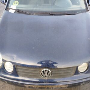 CAPO VOLKSWAGEN POLO IV (9N1)
