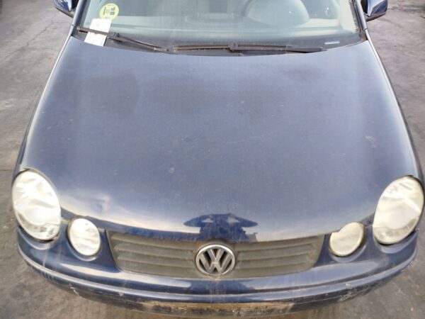 CAPO VOLKSWAGEN POLO IV (9N1)