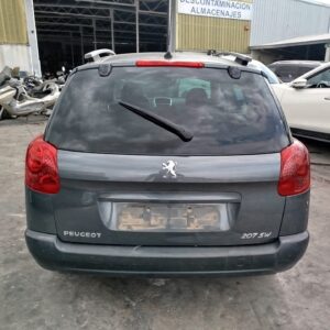 PORTON TRASERO PEUGEOT 207 SW