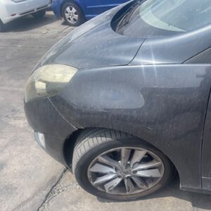 ALETA DELANTERA IZQUIERDA RENAULT SCENIC III (JZ)